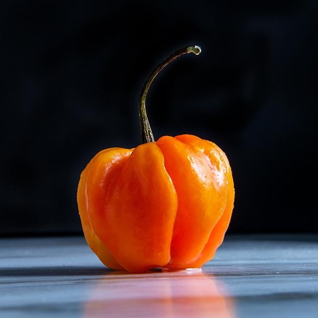 Orange Scotch Bonnet Hot Pepper Seeds