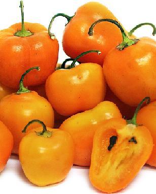 Orange Rocoto Pepper Seeds