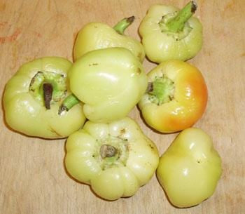 Apple Hungarian Pepper Seeds