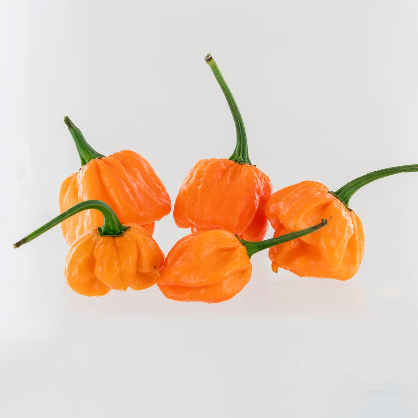 Peach Scotch Bonnet Pepper Seeds