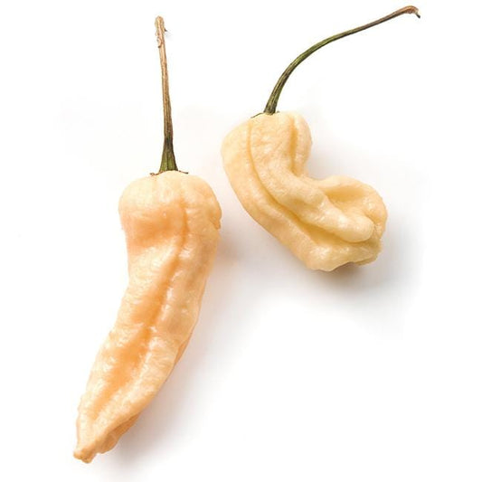 Peach Ghost Pepper Seeds