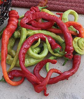 Ristra Cayenne Pepper Seeds