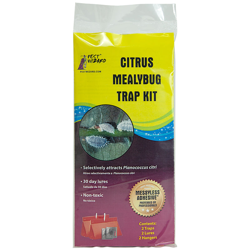 Pest Wizard Citrus Mealybug Trap Kit