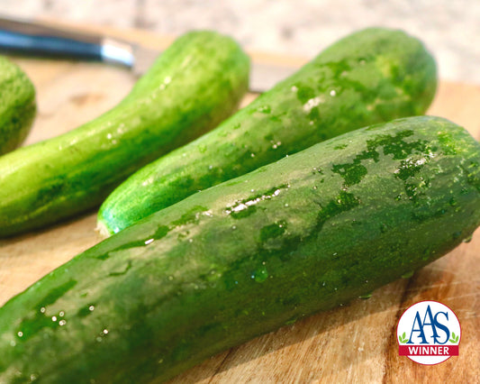 Sweet Success Hybrid Cucumber Seeds