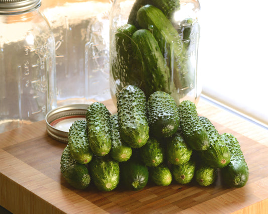 Gherking Hybrid Cucumber Seeds