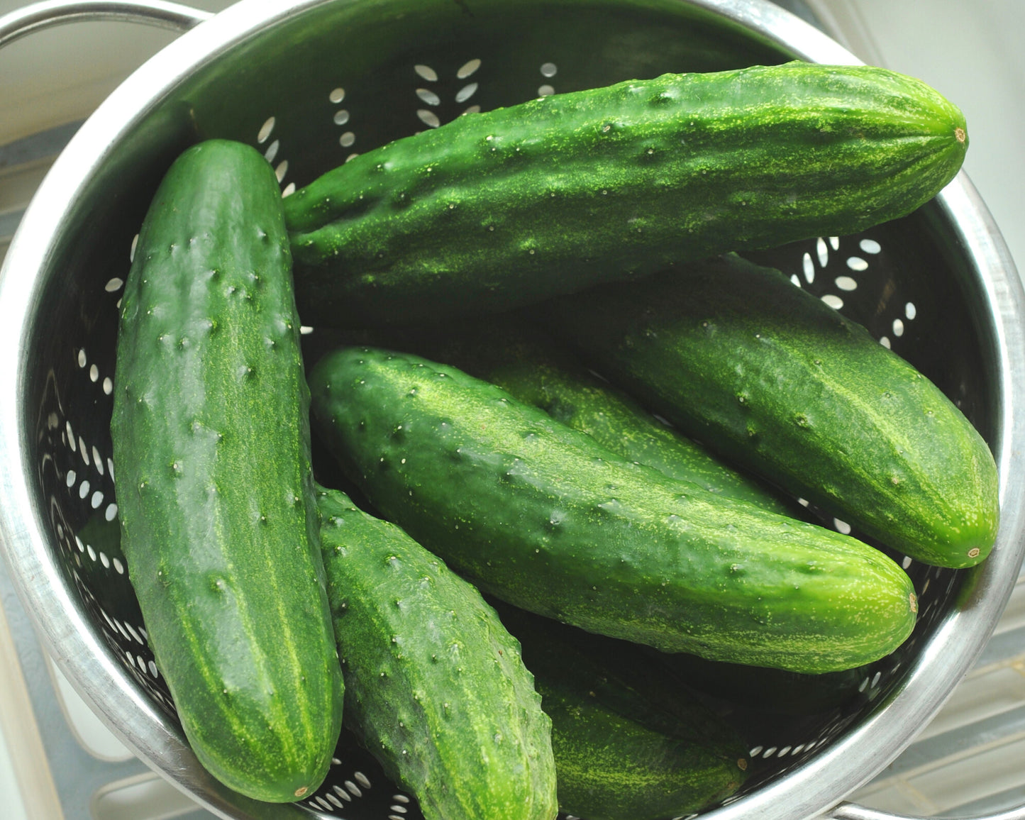 Patio Snacker Hybrid Cucumber