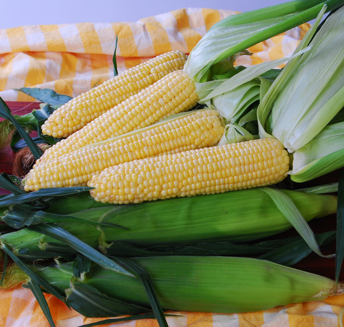 Sugar Buns Corn Seeds