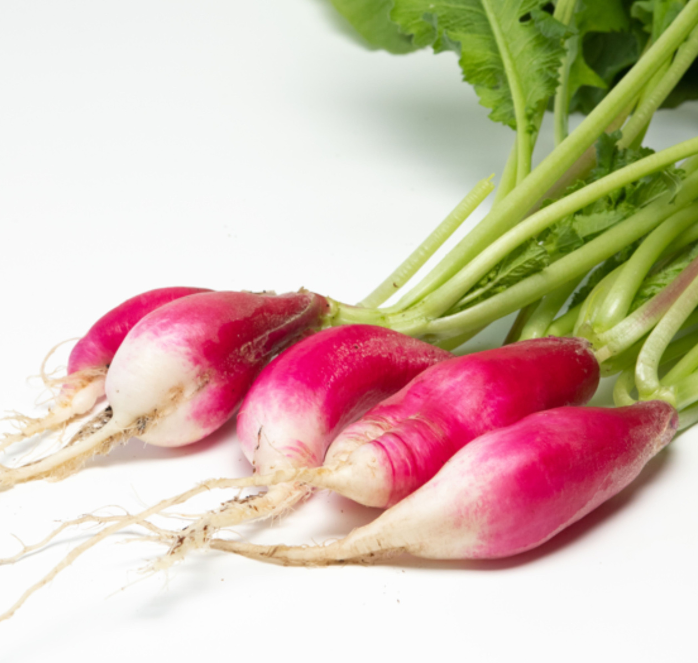 French Breakfast Radish Seeds