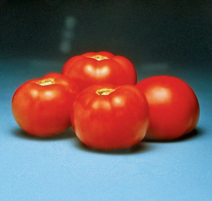 Better Bush Hybrid Tomato Seeds