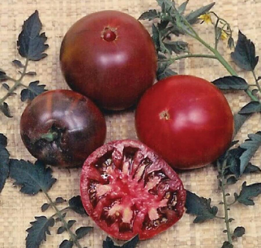 Black Krim Tomato Seeds