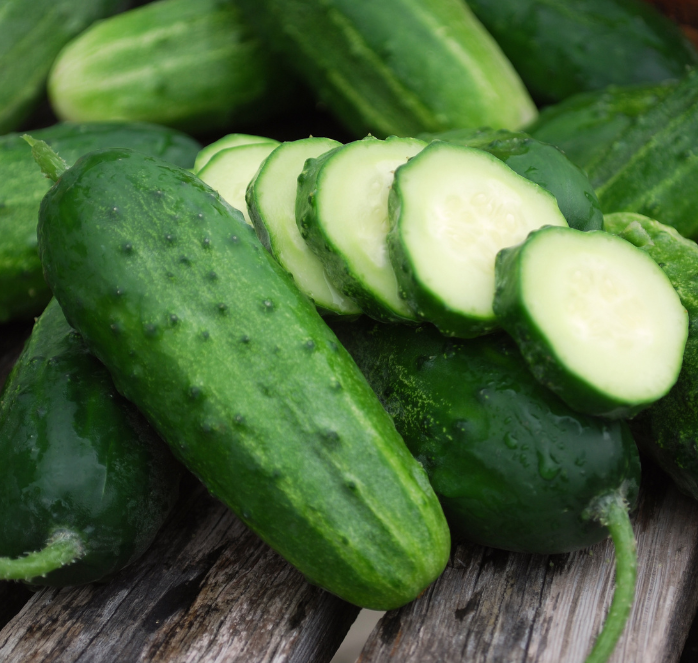 Boston Pickling Cucumber