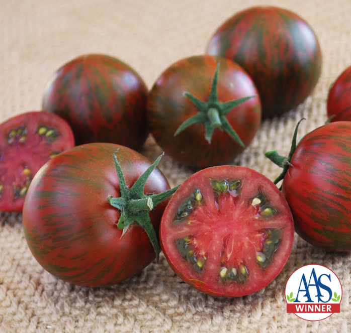 Purple Zebra Hybrid Tomato Seeds