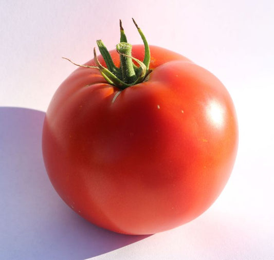 Big Beef Plus Hybrid Tomato Seeds