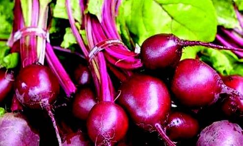 Ruby Queen Beet Seeds