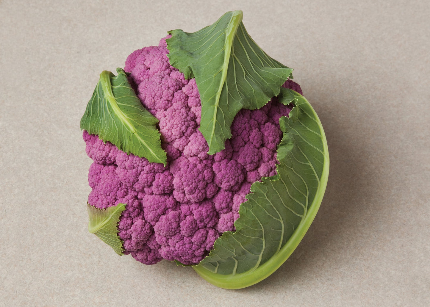 DePurple Hybrid Cauliflower Seeds