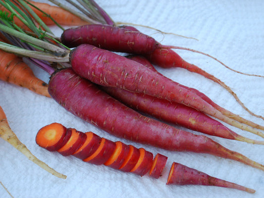 Dragon Carrot Seeds