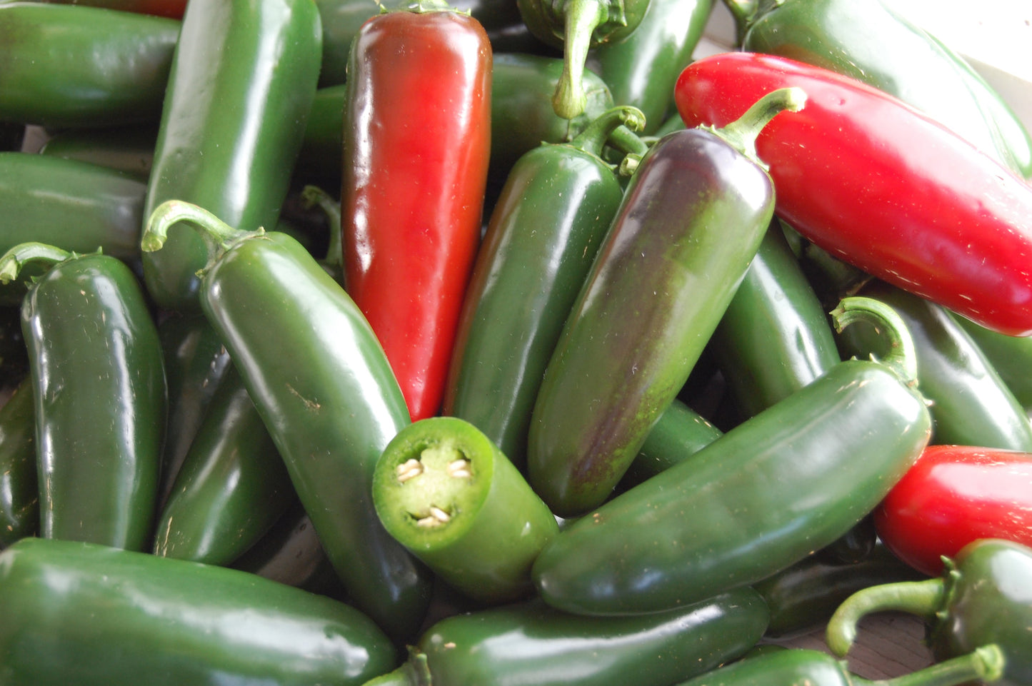 Nadapeño Pepper Seeds