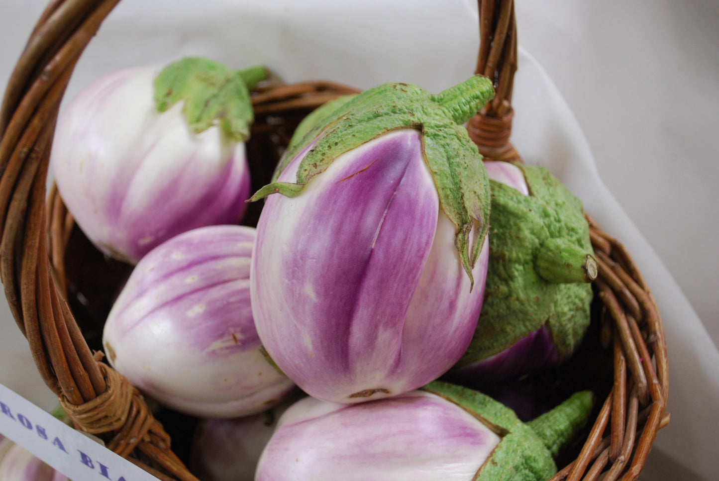 Rosa Bianca Eggplant Seeds