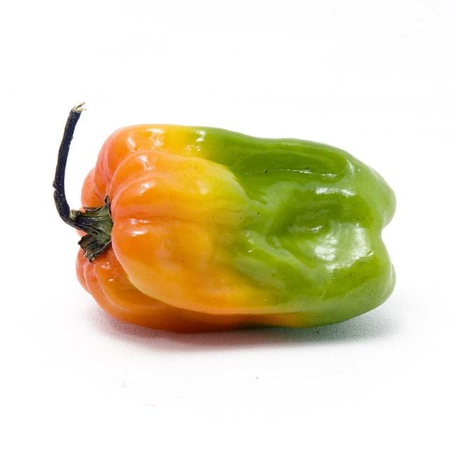 Scotch Bonnet Rainbow Collection