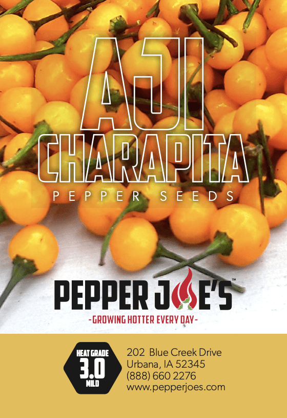 Aji Charapita Pepper Seeds