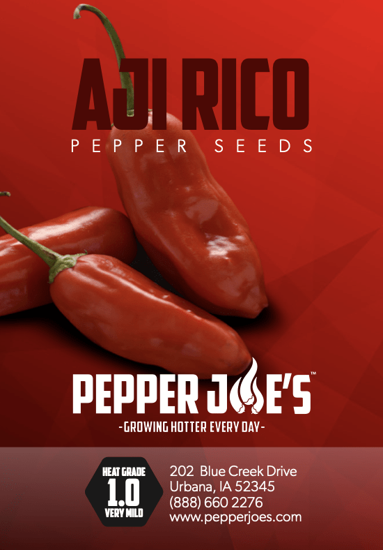 Aji Rico Pepper Seeds