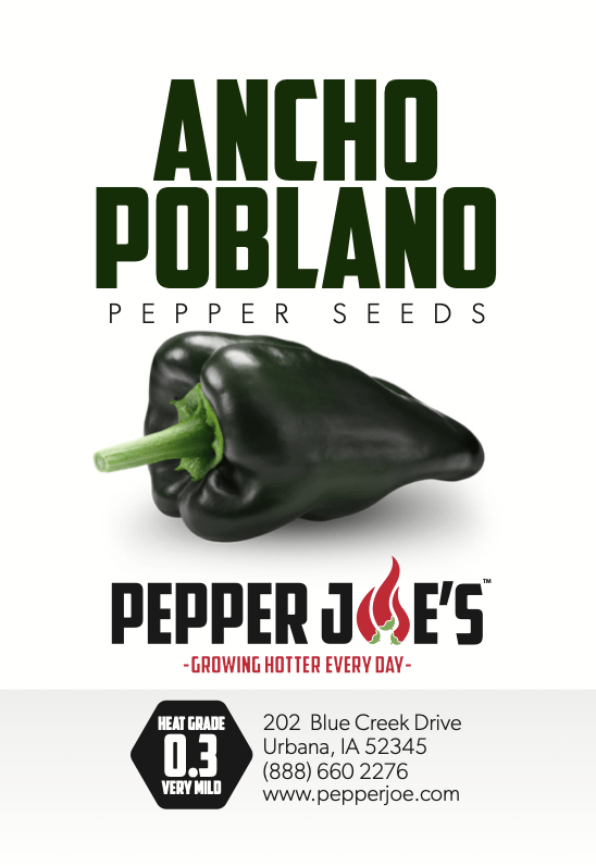 Ancho Poblano Pepper Seeds