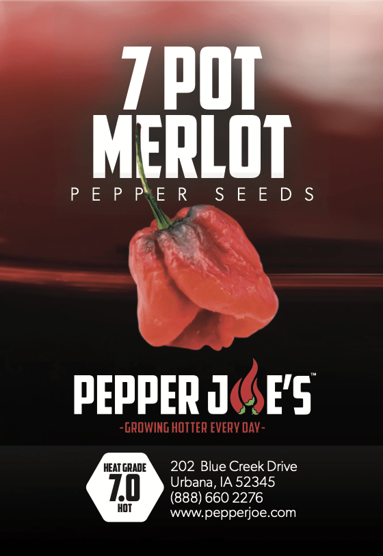 7 Pot Merlot Pepper Seeds