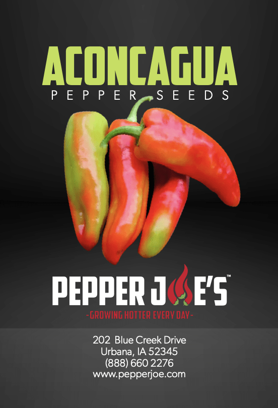 Aconcagua Pepper Seeds