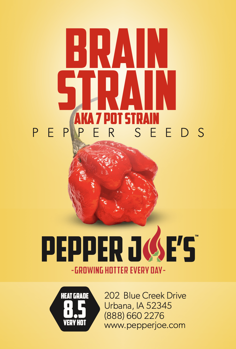 Red Scotch Brain Strain Pepper Seeds (7 Pot Strain)