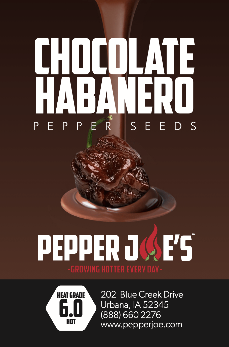 Chocolate Habanero Pepper Seeds