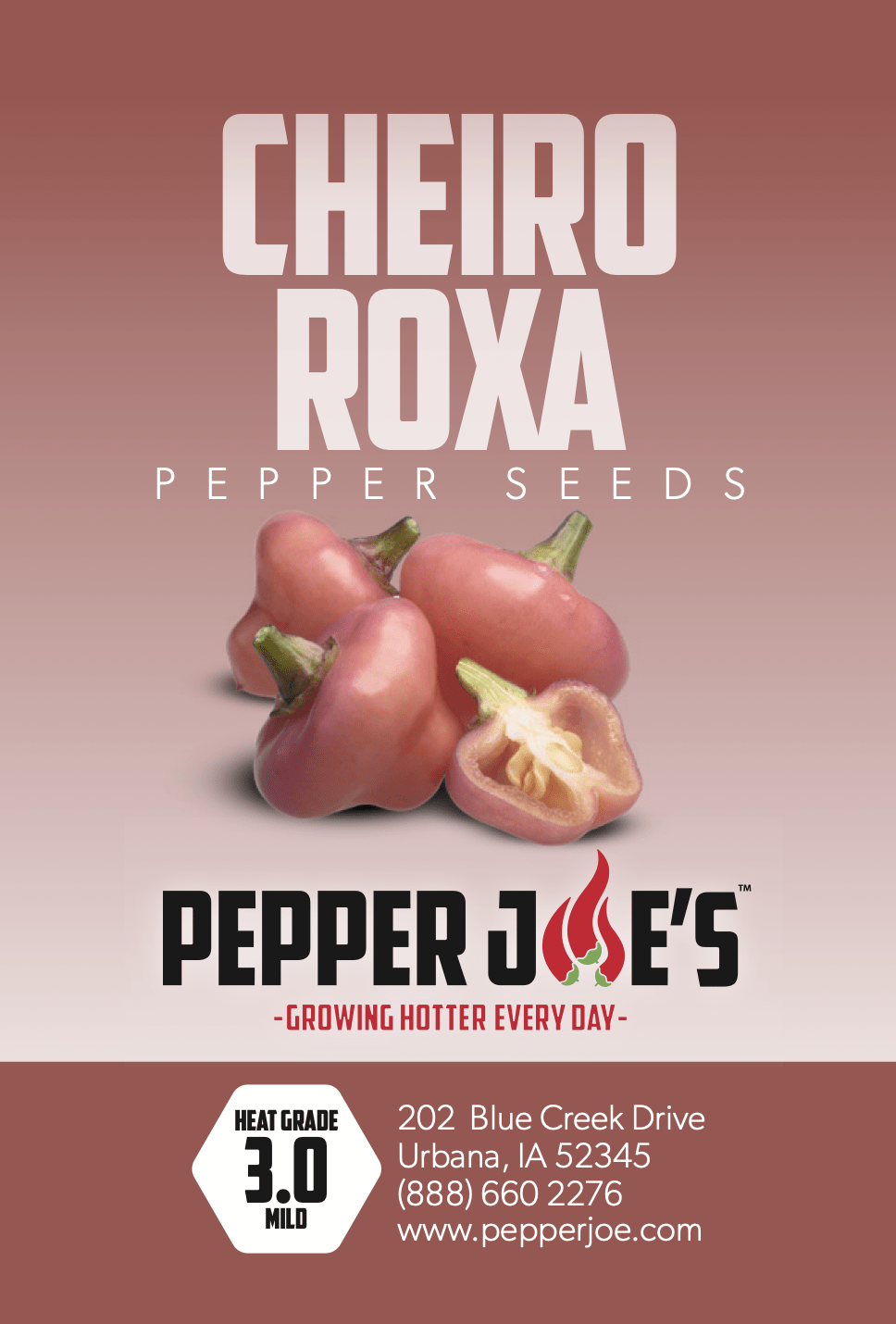 Cheiro Roxa Pepper Seeds (Non-Isolated)