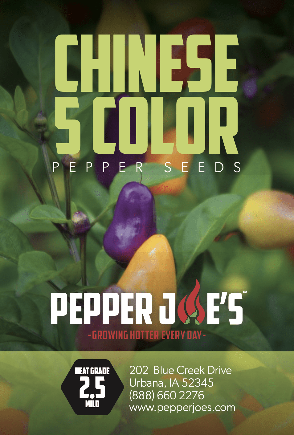 Chinese 5 Color Pepper Seeds