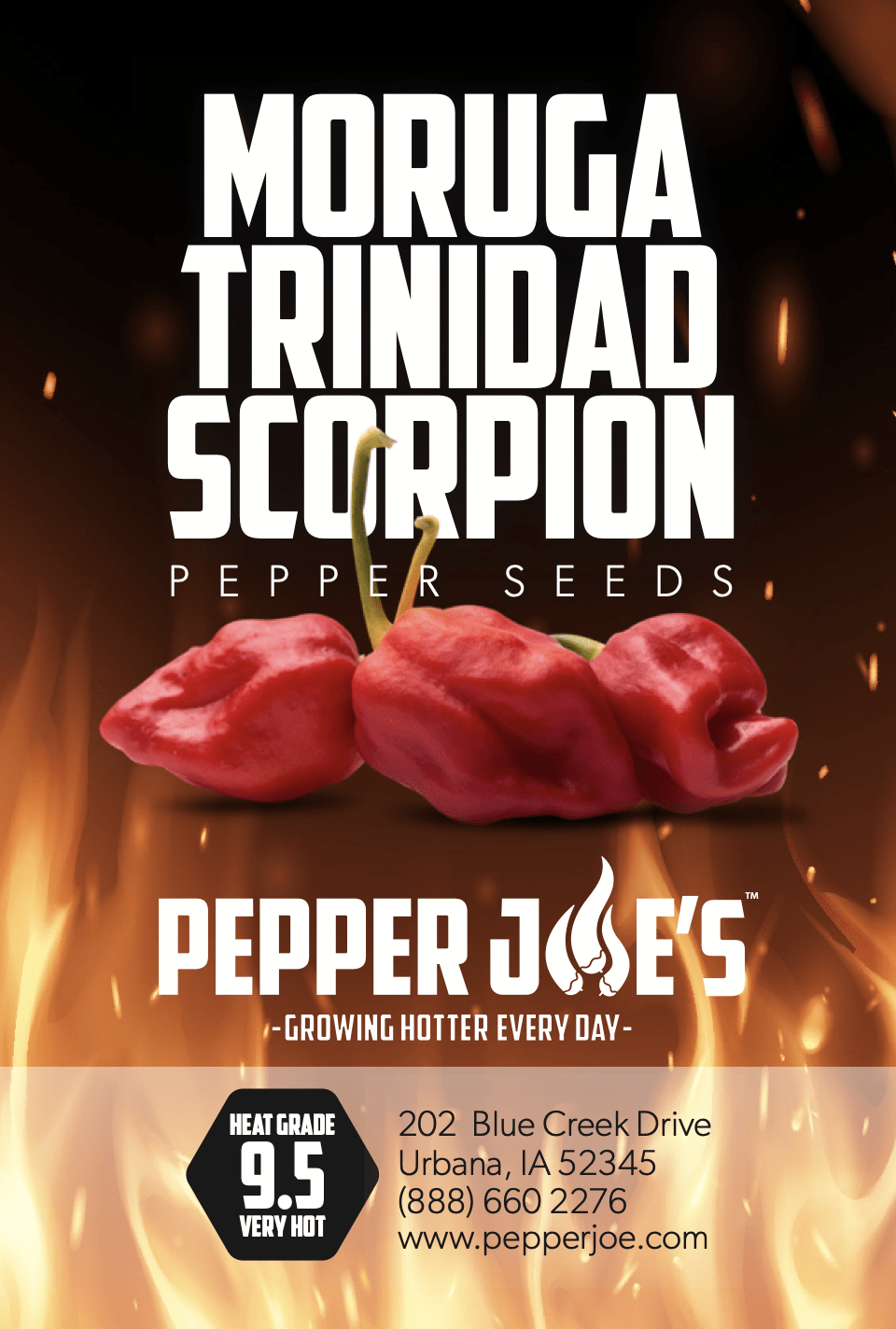 Moruga Trinidad Scorpion Pepper Seeds