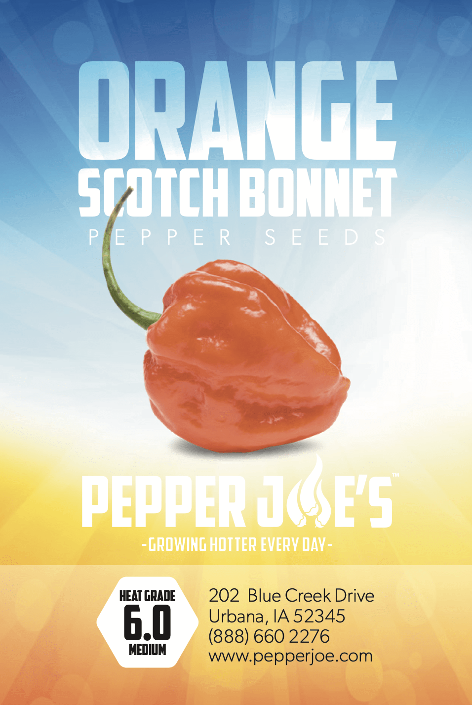 Orange Scotch Bonnet Hot Pepper Seeds