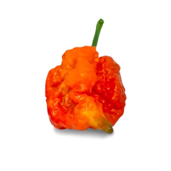 Skunk Red Pepper Seeds