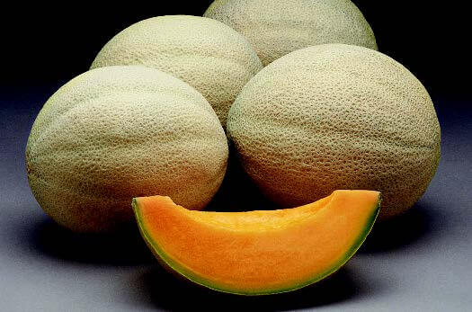 Athena Hybrid Cantaloupe Seeds