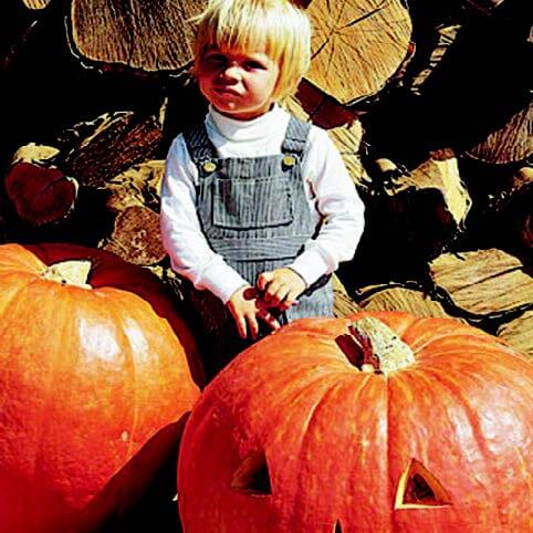 Big Max Pumpkin Seeds