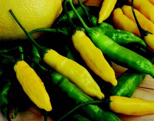 Lemon Drop Hot Pepper Seeds