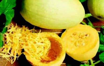 Vegetable Spaghetti Winter Squash Seeds