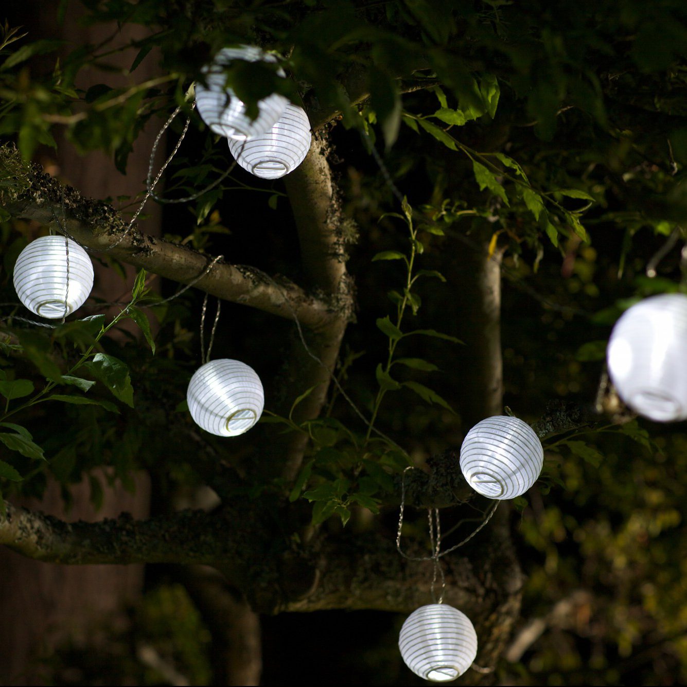 Soji Solar String Lights (10 piece)