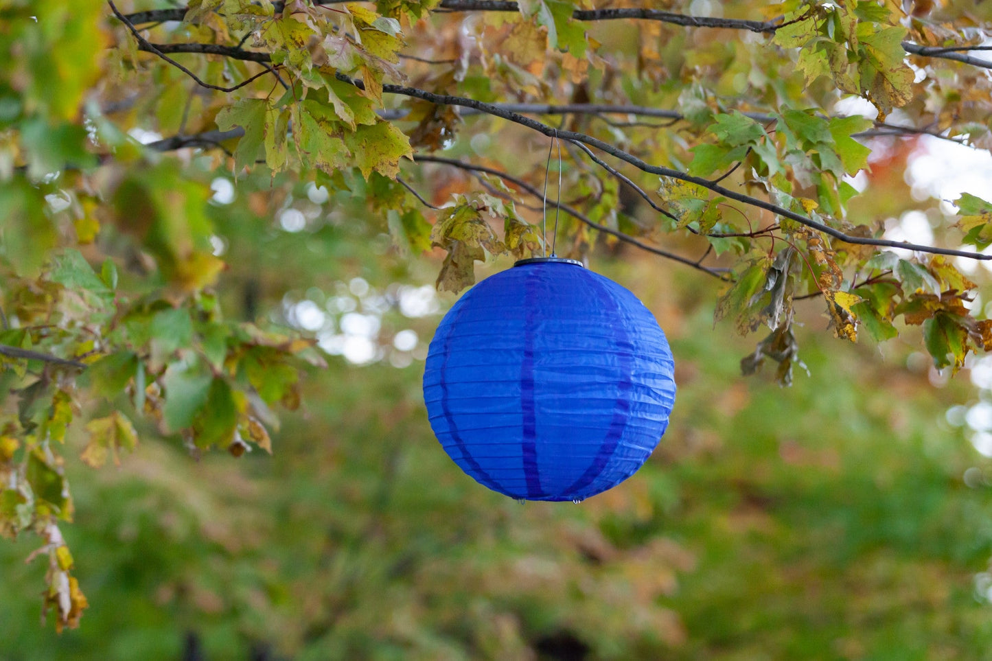 Soji Festival 12" Round Solar Lantern