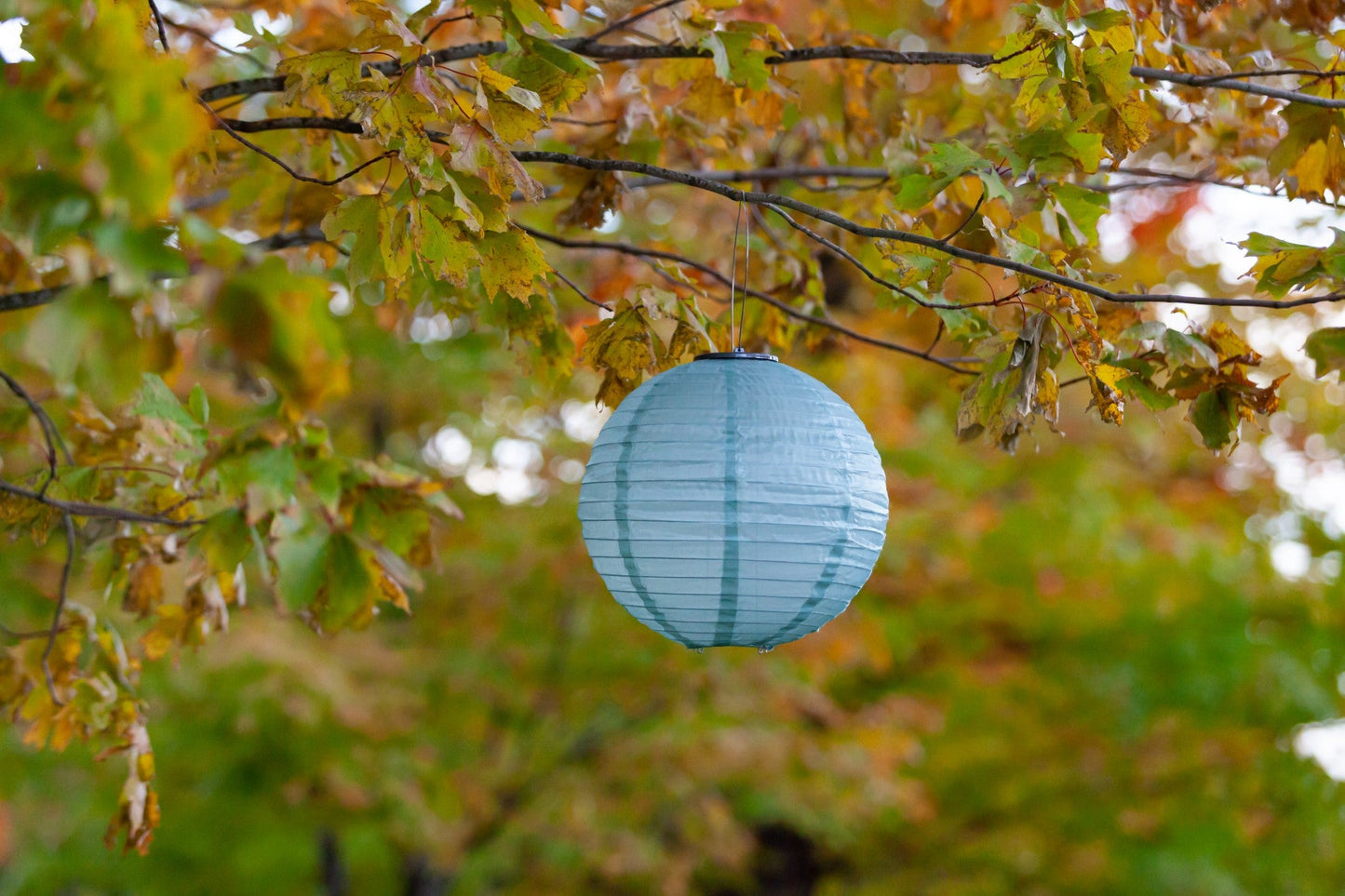 Soji Festival 12" Round Solar Lantern