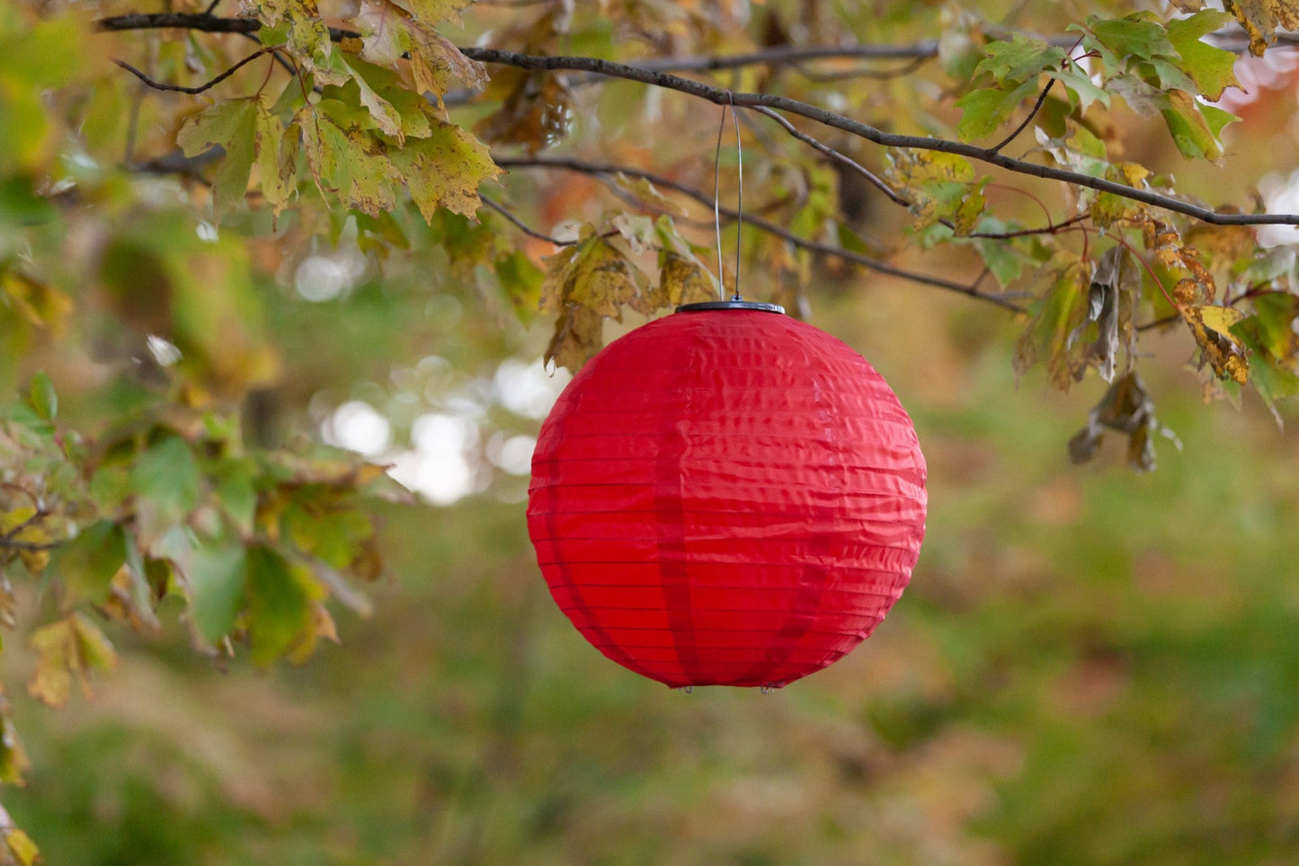 Soji Festival 12" Round Solar Lantern