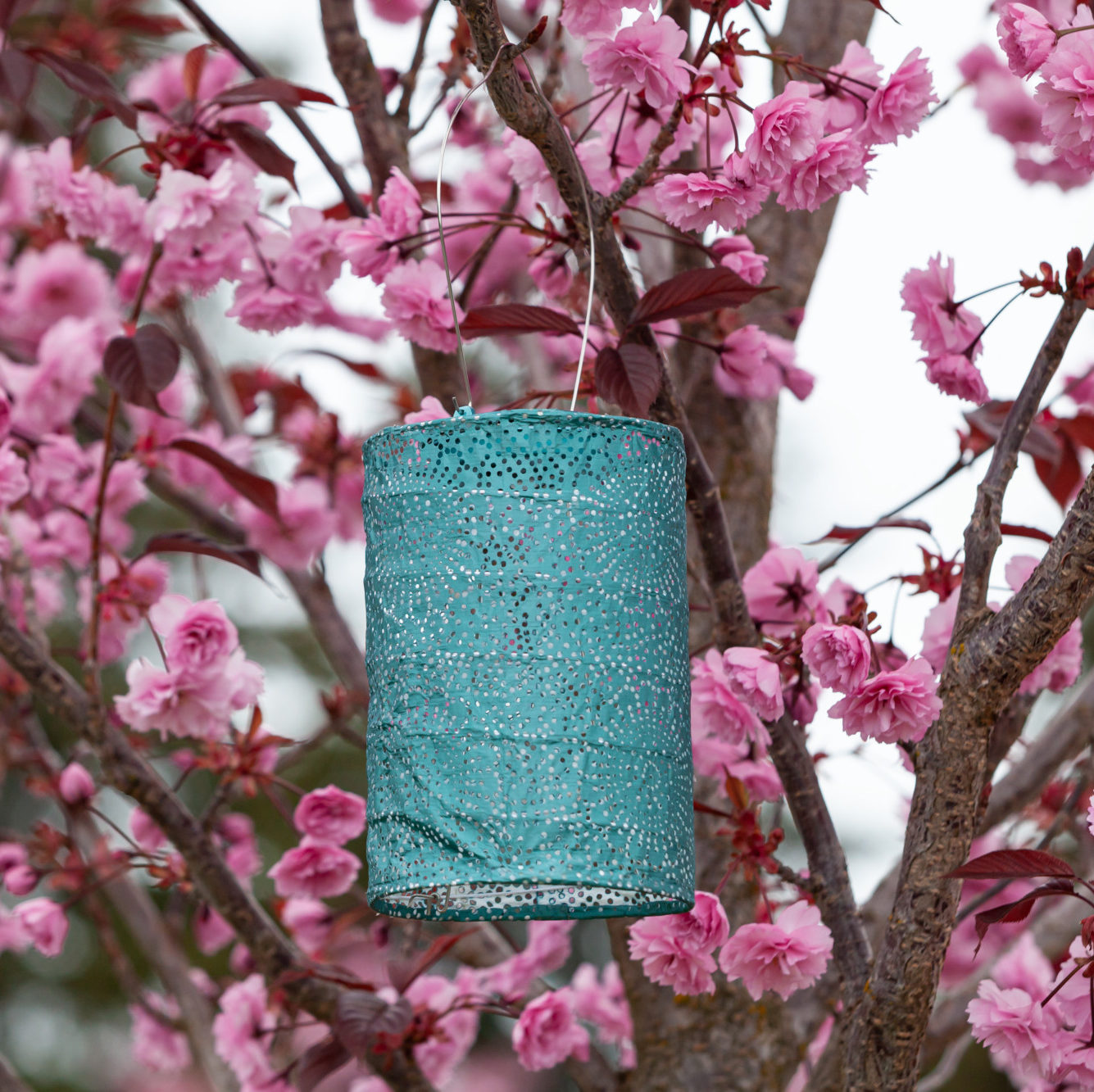 Soji Stella - Cylinder - 7.5" Solar Lantern