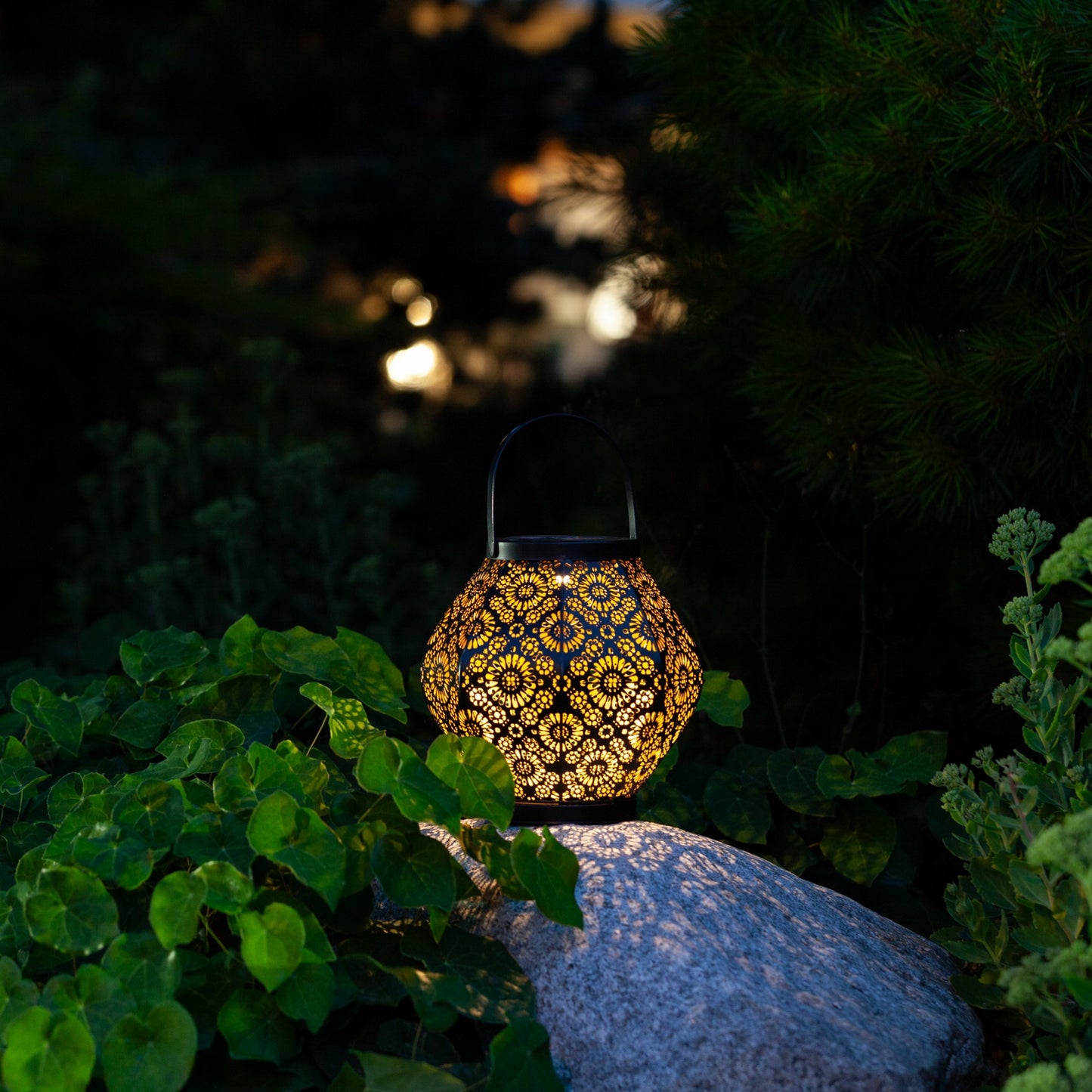 Daisy Punched Metal Solar Lantern - Black