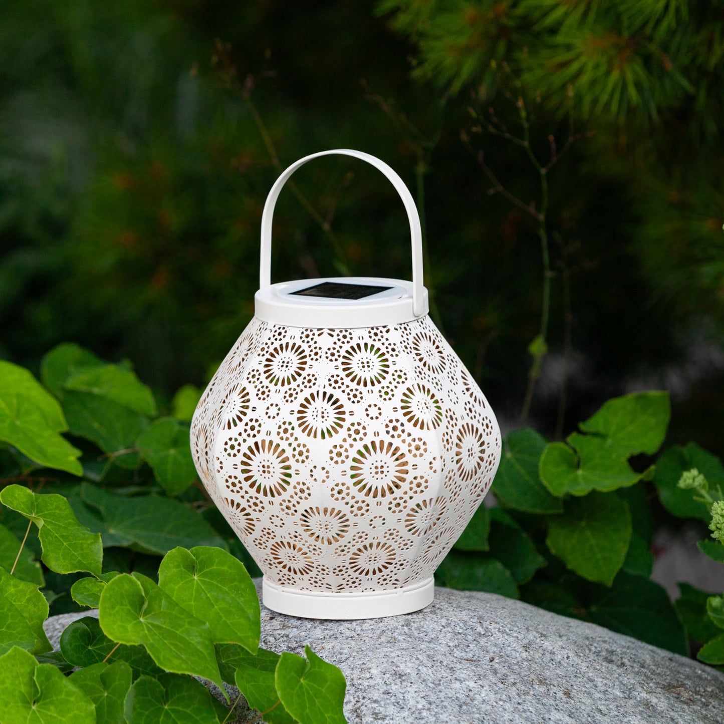 Daisy Punched Metal Solar Lantern - Cannoli Cream