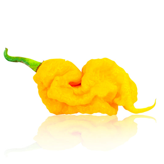 T-Rex Yellow Chili Pepper Seeds