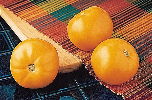 Carolina Gold Hybrid Tomato Seeds