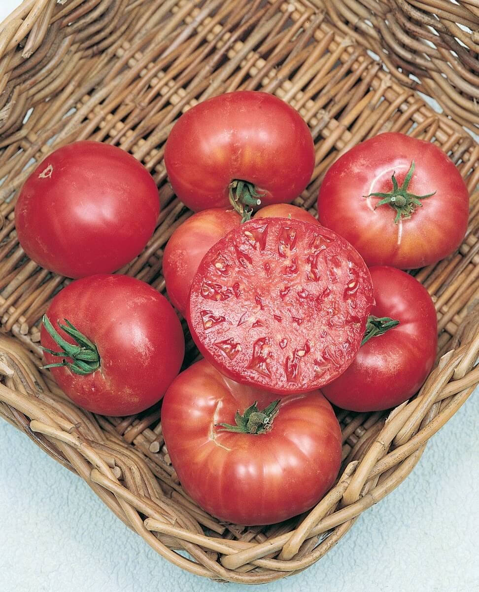 Mortgage Lifter Tomato Seeds