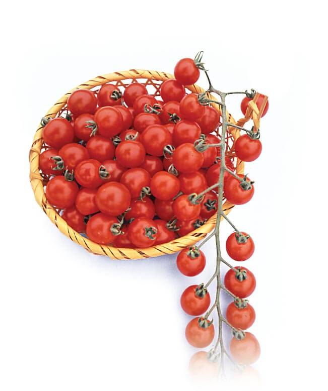 Suncherry RB Hybrid Tomato Seeds